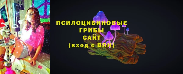 шишки Баксан