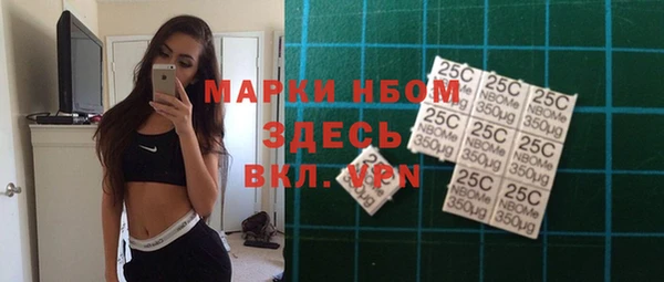шишки Баксан