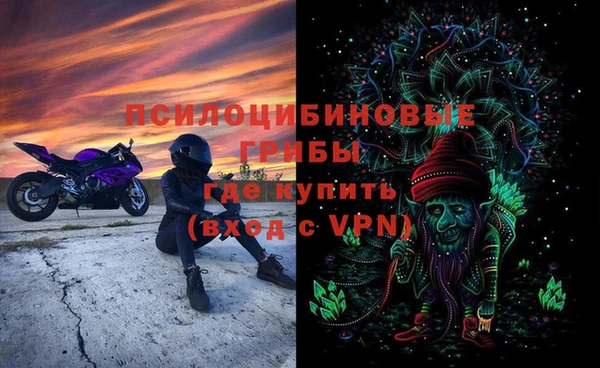 шишки Баксан