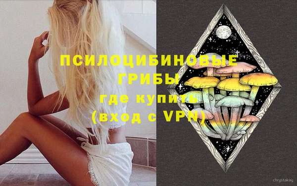 шишки Баксан