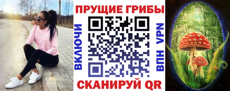 ОМГ ОМГ вход  Корсаков  Псилоцибиновые грибы прущие грибы 